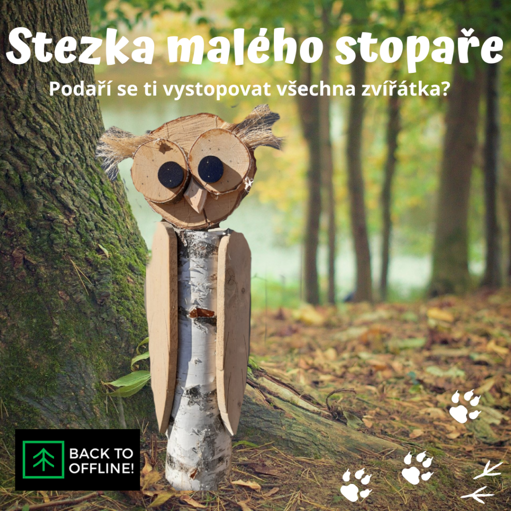Venkovní rodinná hra
